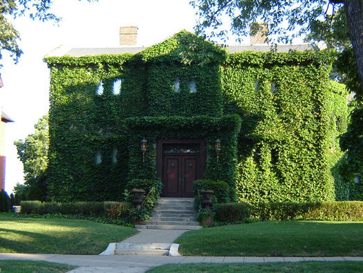 Driscoll House, Driscoll House, 2008, Nick Marcucci